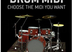 Toontrack Drum MIDI Pack Custom - Select Any Drums Pack!